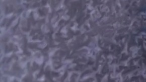 El acuerdo con Taiwán asegura el suministro de alta tecnología para EE.UU.