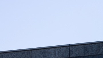 Expertos proyectan que Nvidia genere un crecimiento de ganancias del 57% en 2026.