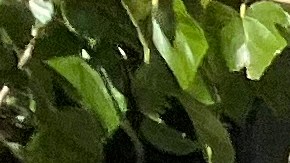 Las escuelas de NYC son otro de las grandes retos de la administración Mamdani