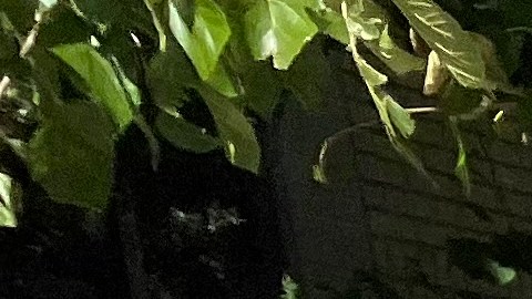 Las escuelas de NYC son otro de las grandes retos de la administración Mamdani