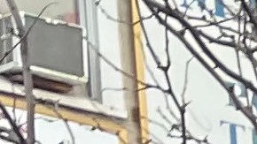 Mamdani visitó Jackson Heights