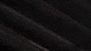 Urgen arreciar legado de Martin Luther King en tiempos de Trump