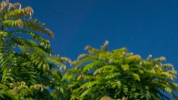 Fatburger es una de las marcas más importantes de la cadena Fat Brands, que se acogió al Capítulo 11.