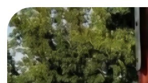 Cubano fue asesinado en cárcel migratoria en Montana