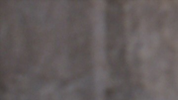 Dos castores en escena de Hoppers, película de Pixar dirigida por Daniel Chong