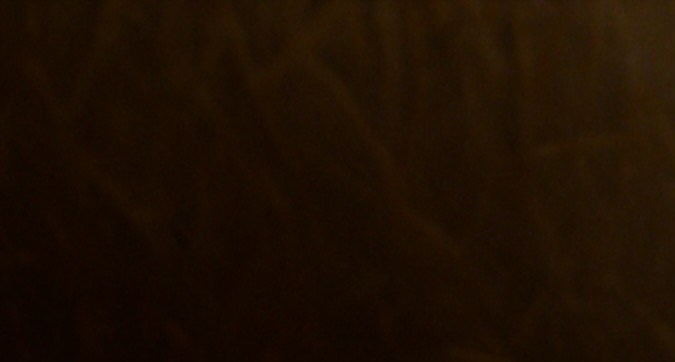 Personajes de Hoppers de Pixar incluyen castores y otros animales en escena de la película