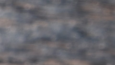 Ciencia y tradición en tu cocina: así es como el laurel protege tu salud metabólica y digestiva.