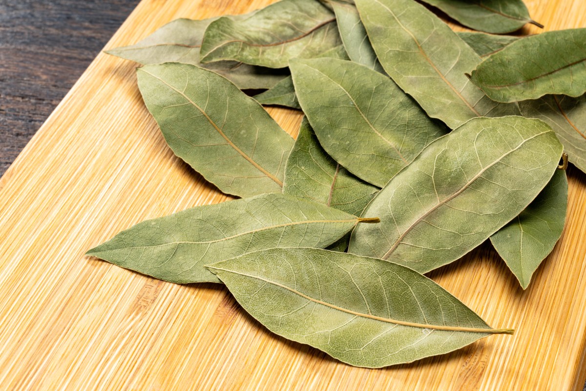 ¿Masticar laurel? El truco ancestral para desinflamar tu abdomen y bajar el azúcar