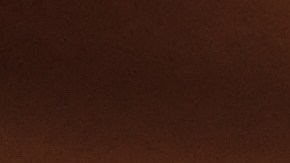 Un estudio reciente en ScienceDirect revela que el consumo de proteínas animales y un peso saludable son los mejores aliados para llegar a los 100 años.