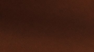 Un estudio reciente en ScienceDirect revela que el consumo de proteínas animales y un peso saludable son los mejores aliados para llegar a los 100 años.