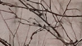 Huelga de enfermeras NYC