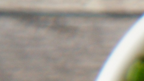 El arte del batido: integrar trozos de queso americano antes de la cocción es el secreto científico para obtener una emulsión interna suave.