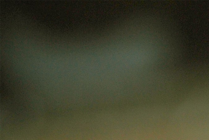 Económico, de fácil digestión y esencial en la dieta funcional. El color de la yema nos habla de la dieta de la gallina, pero su poder para alimentarte es siempre extraordinario.