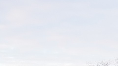 Activistas irrumpen en iglesia de Minnesota donde un agente de ICE es pastor