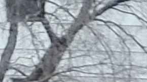 Centenares de venezolanos se reunieron este sábado en el Bajo Manhattan en las cercanías del edificio federal en donde juzgarán a Nicolás Maduro.