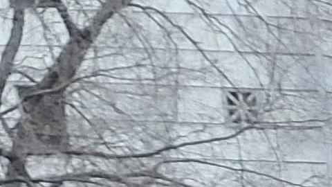 Centenares de venezolanos se reunieron este sábado en el Bajo Manhattan en las cercanías del edificio federal en donde juzgarán a Nicolás Maduro.