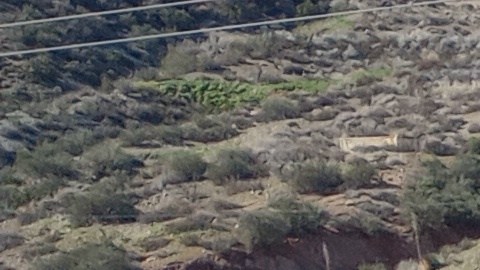 El K4 Hatchback de Kia Gt-Line Turbo, está listo para conquistar las carreteras. /LFC