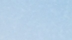 Adria Arjona y Jason Momoa están juntos desde mayo de 2024.