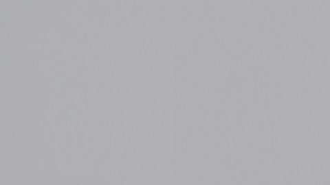 Jordan Shipley con Jacksonville Jaguars.