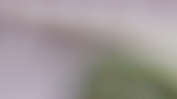 El Kapusnyak ucraniano: donde la acidez del chucrut y la jugosidad del cerdo se unen para crear la sopa perfecta de la temporada fría.