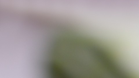 El Kapusnyak ucraniano: donde la acidez del chucrut y la jugosidad del cerdo se unen para crear la sopa perfecta de la temporada fría.