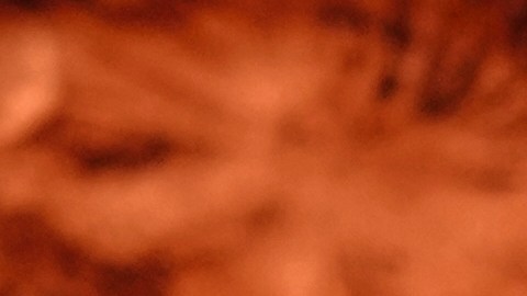 Kendall Jenner compró esta casa a inicios del 2025.