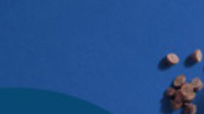 Nuevas donas de temporada: una fusión gourmet entre la repostería clásica y sabores reconfortantes de invierno.