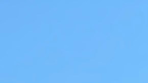 100 organizaciones de defensa se concentraron este jueves en el Bajo Manhattan como reacción al asesinato de una mujer en Minneapolis en una acción de ICE.