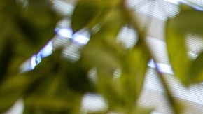 La reforma fiscal de Trump eliminó deducciones importantes para las empresas, como ofrecer comida gratuita a sus empleados.