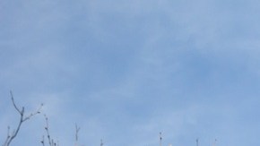 Las previsiones de UnitedHealth para 2026 muestran un sector salud bajo presión, con mayores ganancias proyectadas.