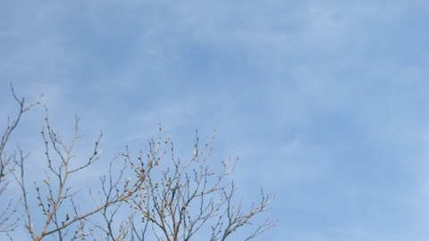 Las previsiones de UnitedHealth para 2026 muestran un sector salud bajo presión, con mayores ganancias proyectadas.