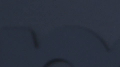 Lexi Minetree protagonizará esta nueva serie de Prime Video.