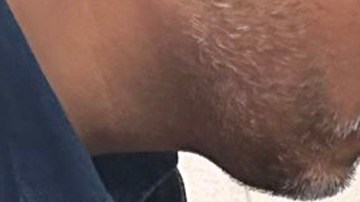 Juez ordena liberar a niño de 5 años detenido por ICE junto a su padre en Minnesota