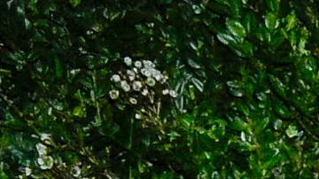 Lily Allen y David Harbour anunciaron su divorcio el año pasado.