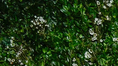 Lily Allen y David Harbour anunciaron su divorcio el año pasado.