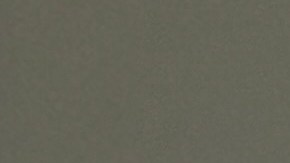 La alquimia del Zero Waste: el limoneno del limón y los gingeroles del jengibre se unen para purificar el aire de tu cocina de forma natural.