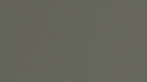 La alquimia del Zero Waste: el limoneno del limón y los gingeroles del jengibre se unen para purificar el aire de tu cocina de forma natural.