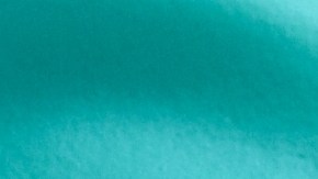 Aunque la sal y el limón son excelentes para desodorizar y eliminar manchas superficiales, la ciencia confirma que no tienen la capacidad de eliminar bacterias en la profundidad de las tablas de madera.