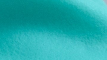 Aunque la sal y el limón son excelentes para desodorizar y eliminar manchas superficiales, la ciencia confirma que no tienen la capacidad de eliminar bacterias en la profundidad de las tablas de madera.