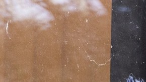 Los trabajadores de la CFPB iniciaron un juicio para evitar ser despedidos por el gobierno federal.