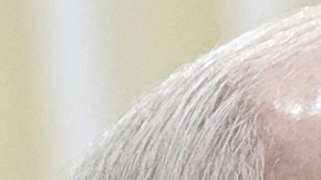 Trump invita a Putin y Lukashenko a integrar junta que supervisará nuevo gobierno de Gaza