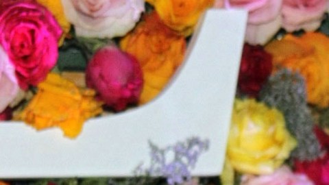 Lupita Jones entre las primeras confirmadas para estar en La Casa de los Famosos 6.