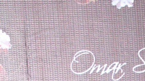 Lupita Jones habló de La Casa de los Famosos, reality show de Telemundo.