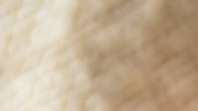 El poder oculto del maní: Pequeño pero potente para tu salud.