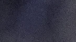 Micael dos Santos con Houston Dynamo.