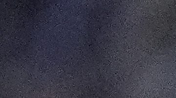 Micael dos Santos con Houston Dynamo.