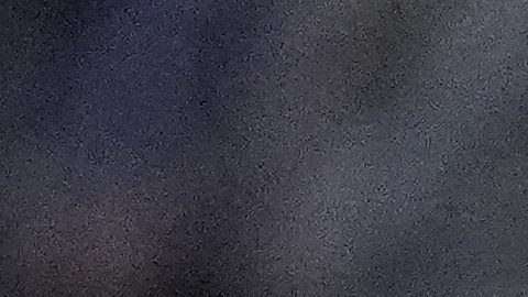 Micael dos Santos con Houston Dynamo.