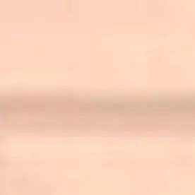 podría enfrentar hasta 25 años tras las rejas y una multa de $250,00 dólares si es declarado culpable.