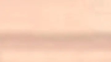 podría enfrentar hasta 25 años tras las rejas y una multa de $250,00 dólares si es declarado culpable.