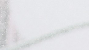 Tormenta invernal NYC